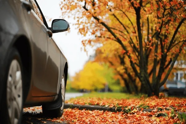 Revisa tu auto en otoño: claves para conducir seguro con lluvia, frío y menos luz