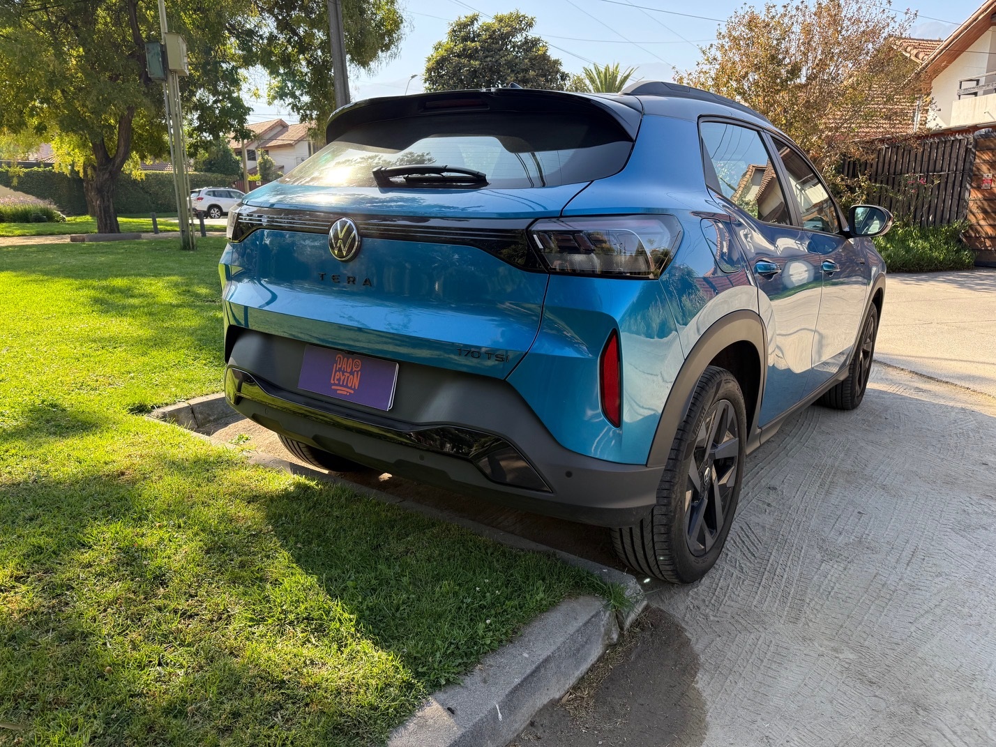 Volkswagen Tera zaga